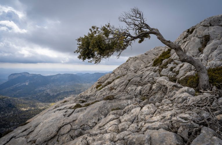 Hurst: The Importance of Resilience in Overcoming Trauma